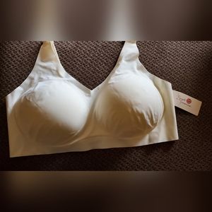 Secret Treasures Bra